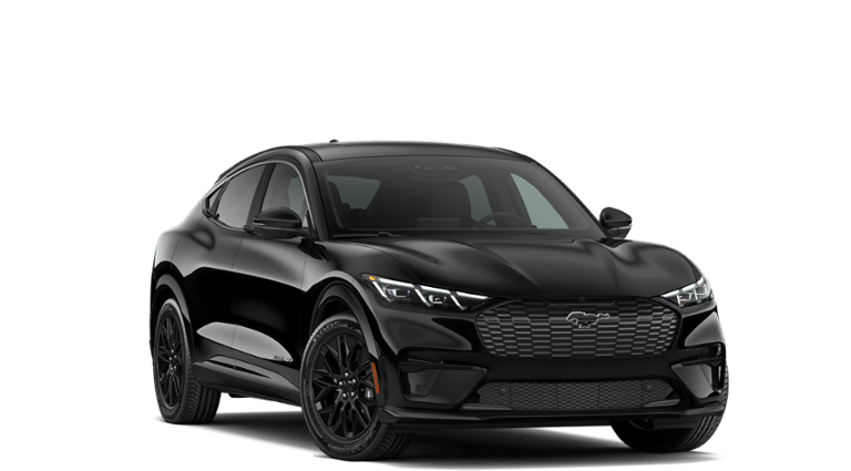 Mustang Mach-E® vehicle